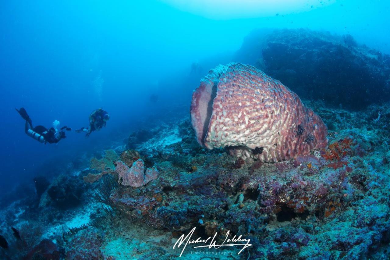 Coriana Dive Resort Waisai Eksteriør bilde